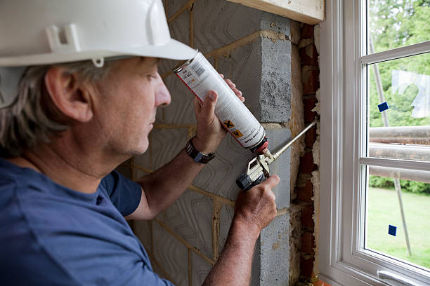 Best Cellulose Insulation in Deville, AL